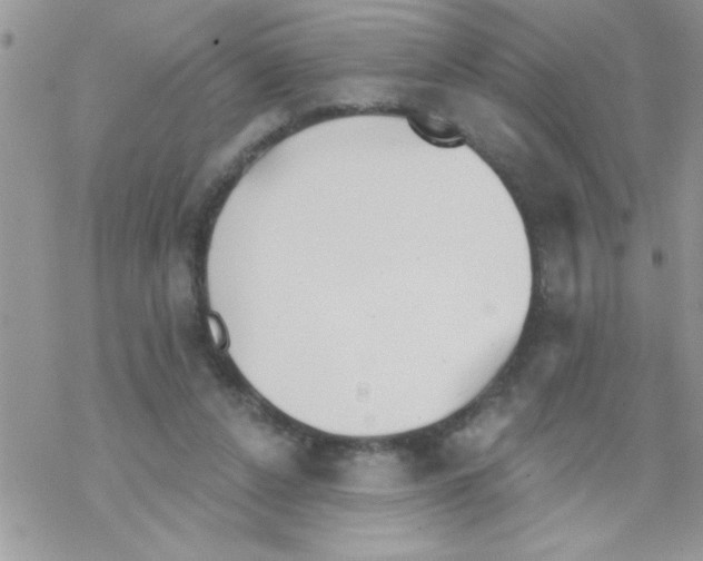 X0000069400256200606091749