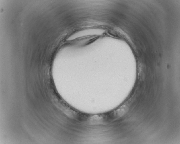 X0000069400257200606091749