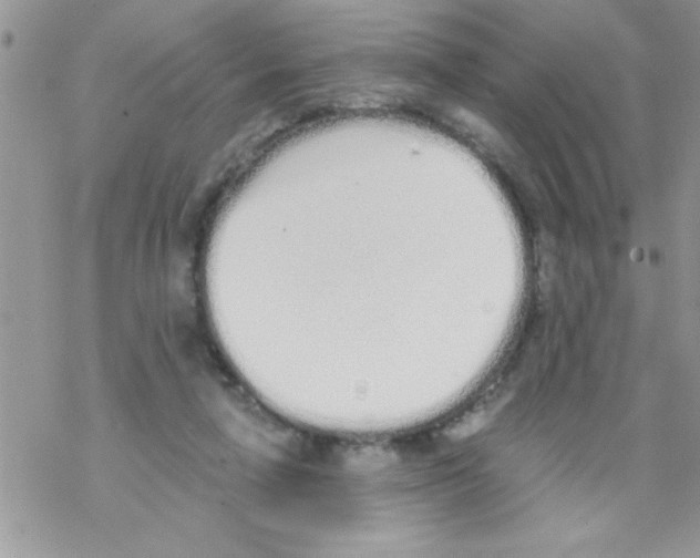 X0000069400258200606091749