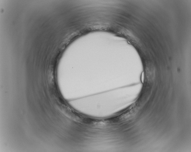 X0000069400259200606091749