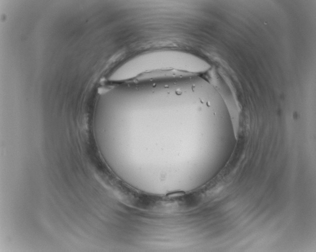 X0000069400260200606091749