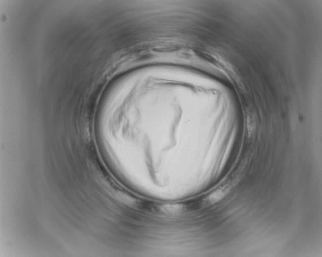 X0000069400261200606091749