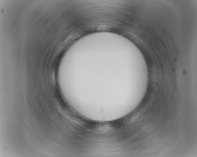 X0000069400262200606091749