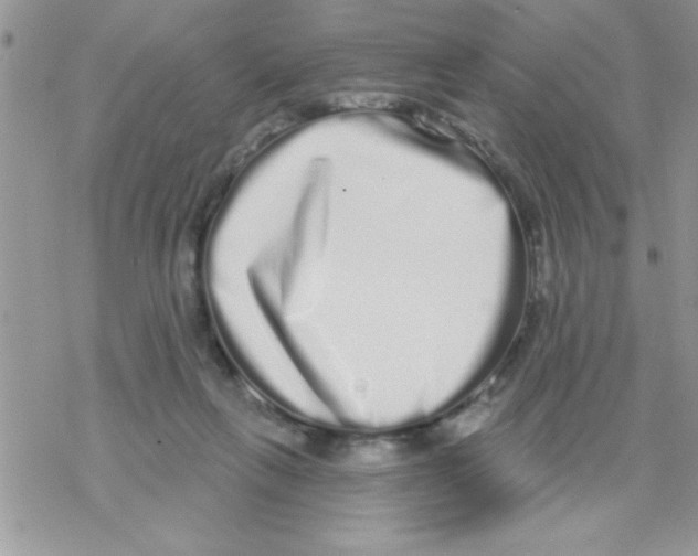 X0000069400263200606091749