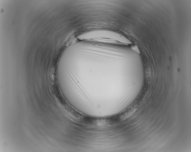 X0000069400264200606091749