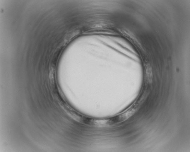 X0000069400265200606091749