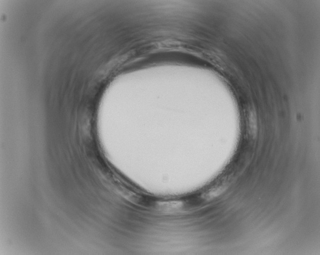 X0000069400266200606091749