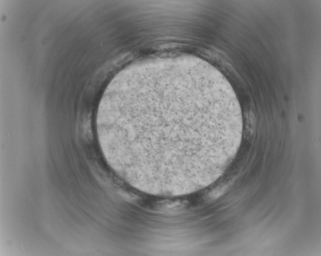 X0000069400267200606091749