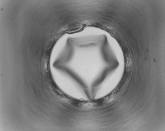 X0000069400268200606091749