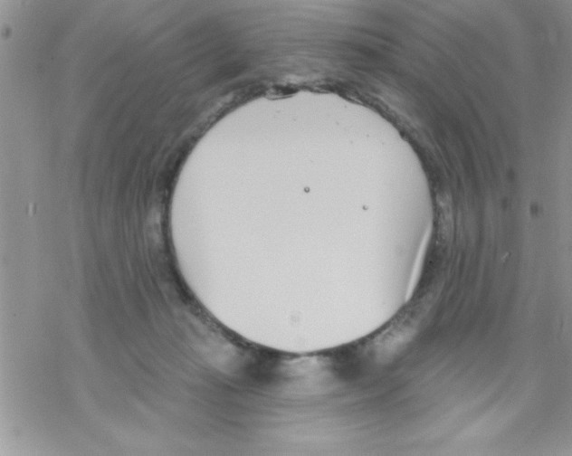 X0000069400269200606091749