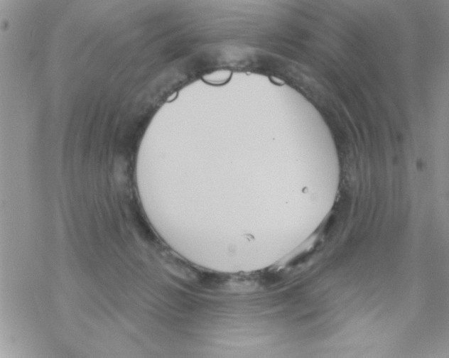 X0000069400270200606091749