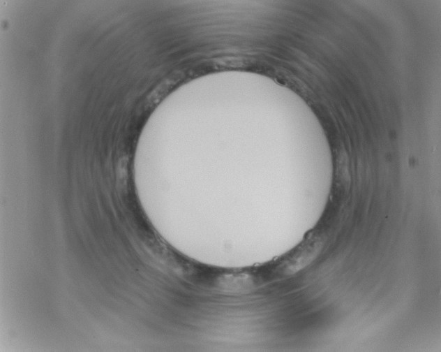 X0000069400271200606091749