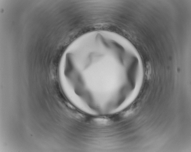 X0000069400272200606091749