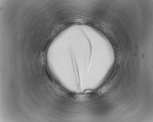 X0000069400273200606091749