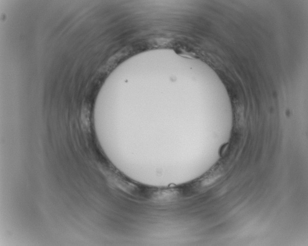 X0000069400274200606091749