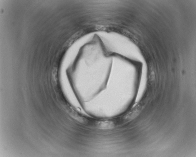 X0000069400275200606091749