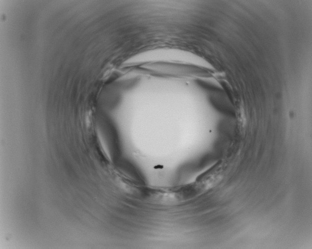 X0000069400276200606091749