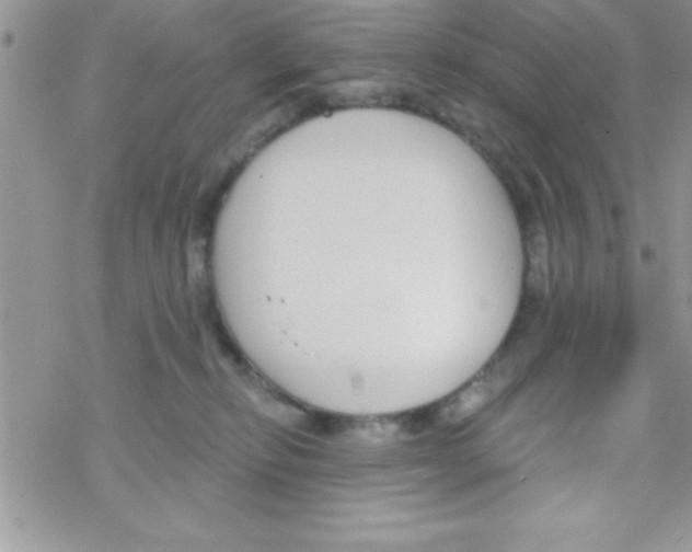 X0000069400278200606091749