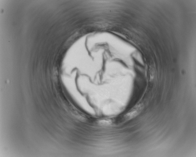 X0000069400279200606091749