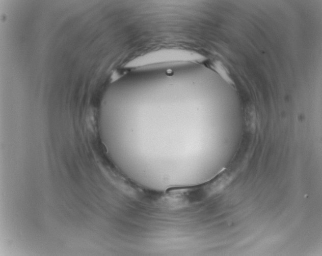 X0000069400280200606091749