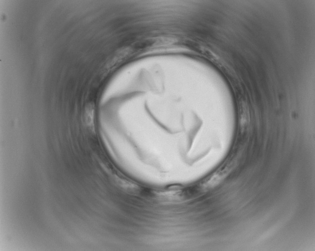 X0000069400281200606091749