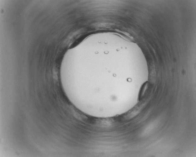 X0000069400282200606091749