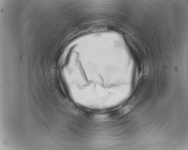 X0000069400283200606091749