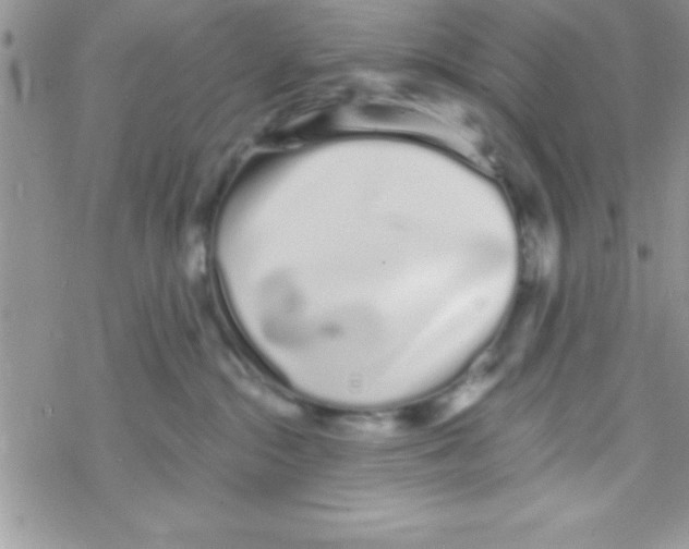 X0000069400284200606091749