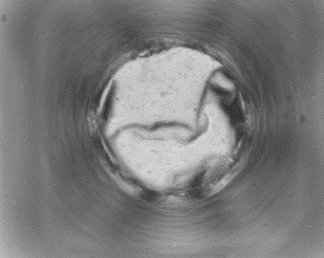 X0000069400285200606091749