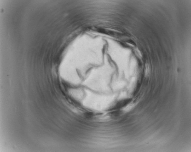 X0000069400286200606091749