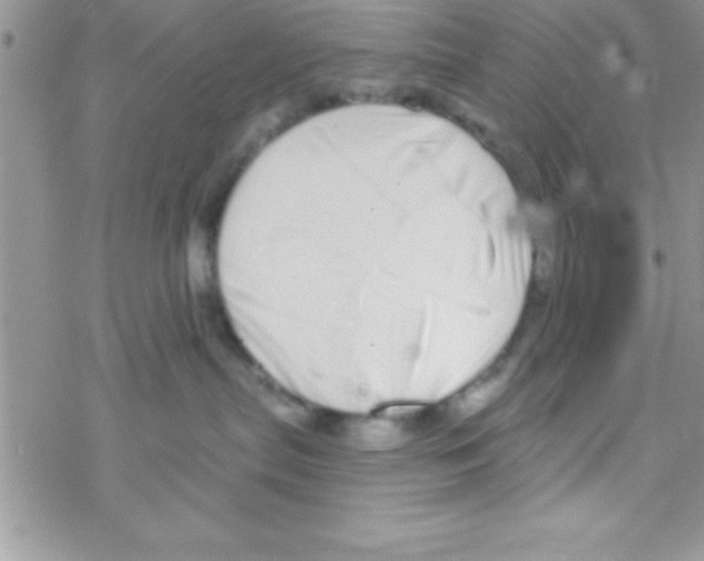 X0000069400287200606091749