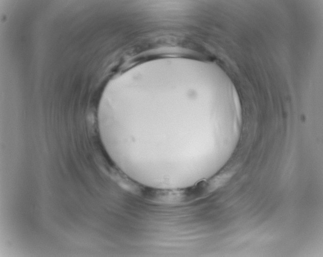 X0000069400288200606091749