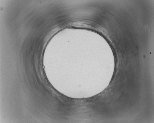 X0000069400289200606091748