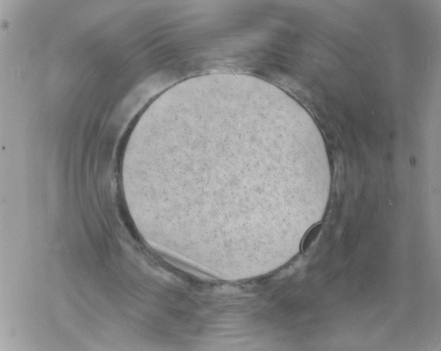 X0000069400290200606091748