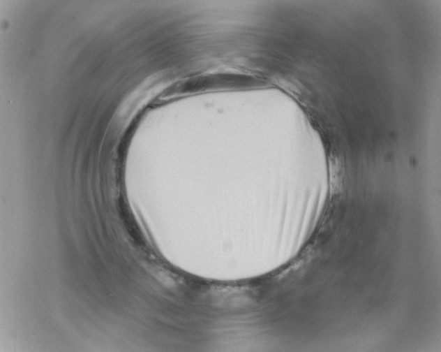 X0000069400291200606091748