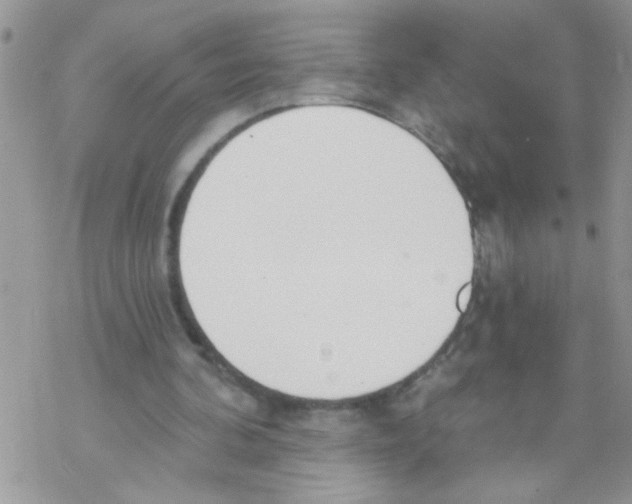 X0000069400292200606091748