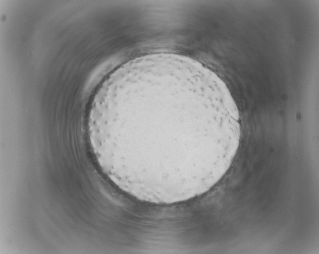 X0000069400293200606091748