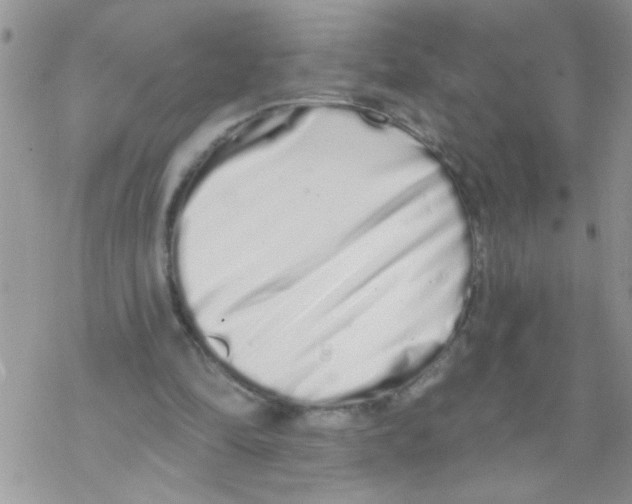 X0000069400294200606091748