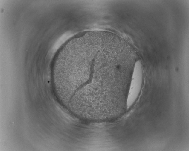 X0000069400295200606091748