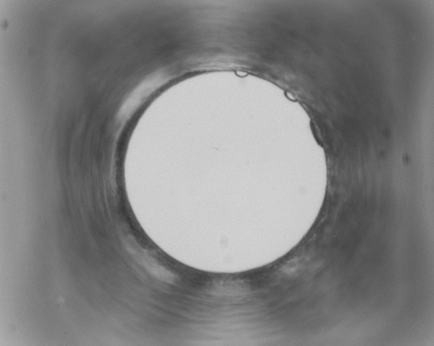 X0000069400296200606091748