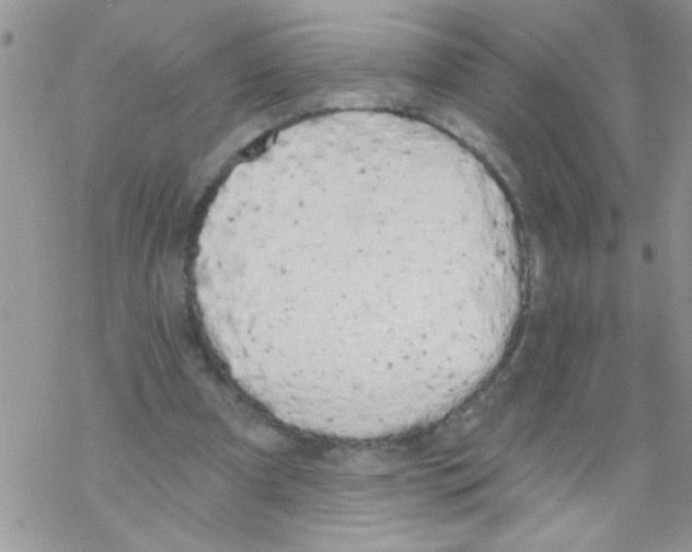 X0000069400297200606091748