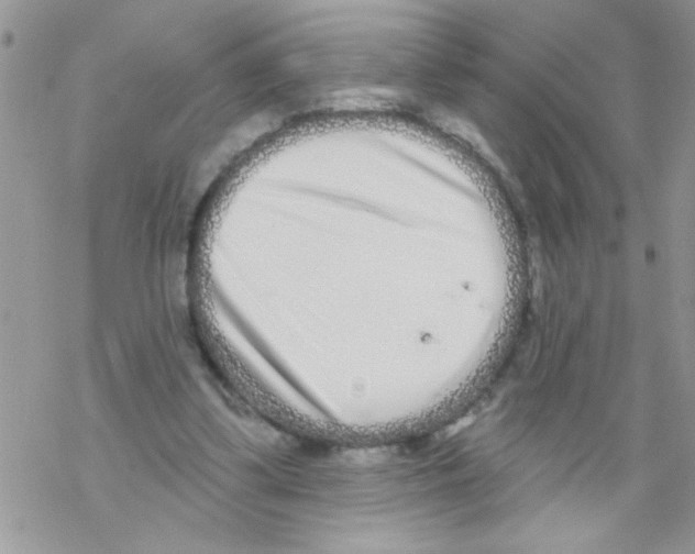 X0000069400299200606091748