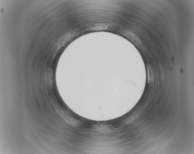 X0000069400300200606091748