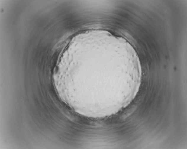 X0000069400301200606091748