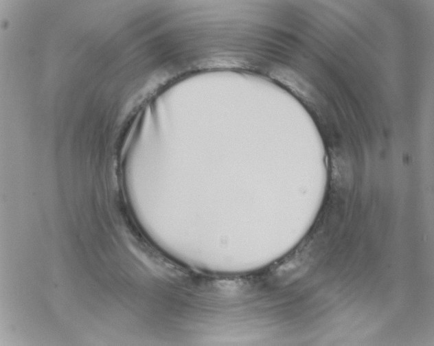 X0000069400302200606091748