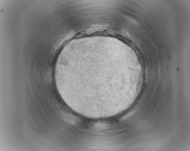 X0000069400303200606091748