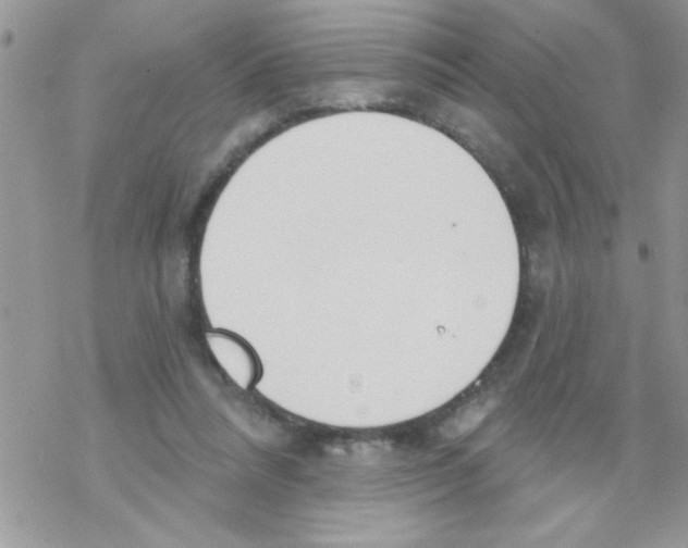 X0000069400304200606091748