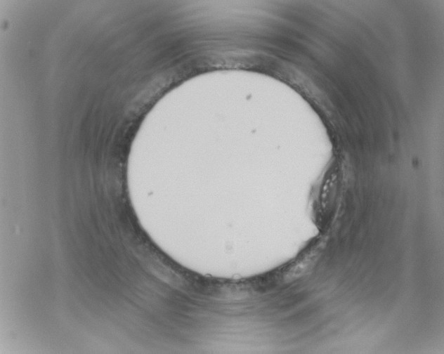 X0000069400305200606091748