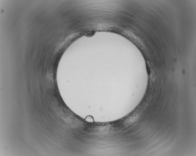 X0000069400306200606091748