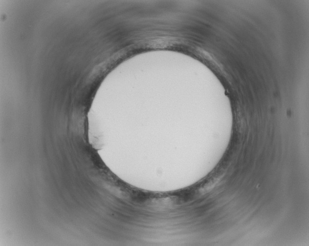 X0000069400307200606091748